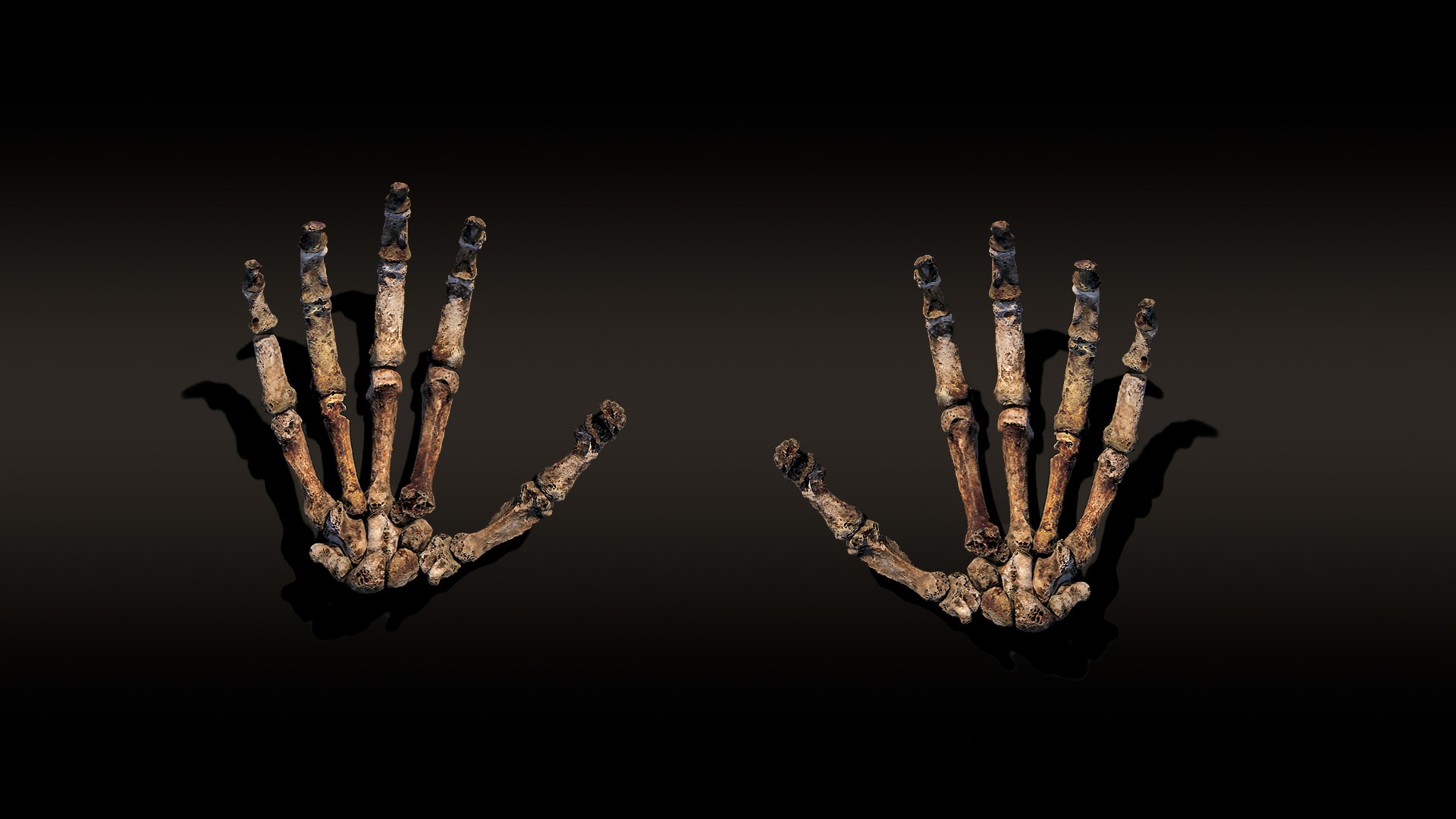 Cave of Bones