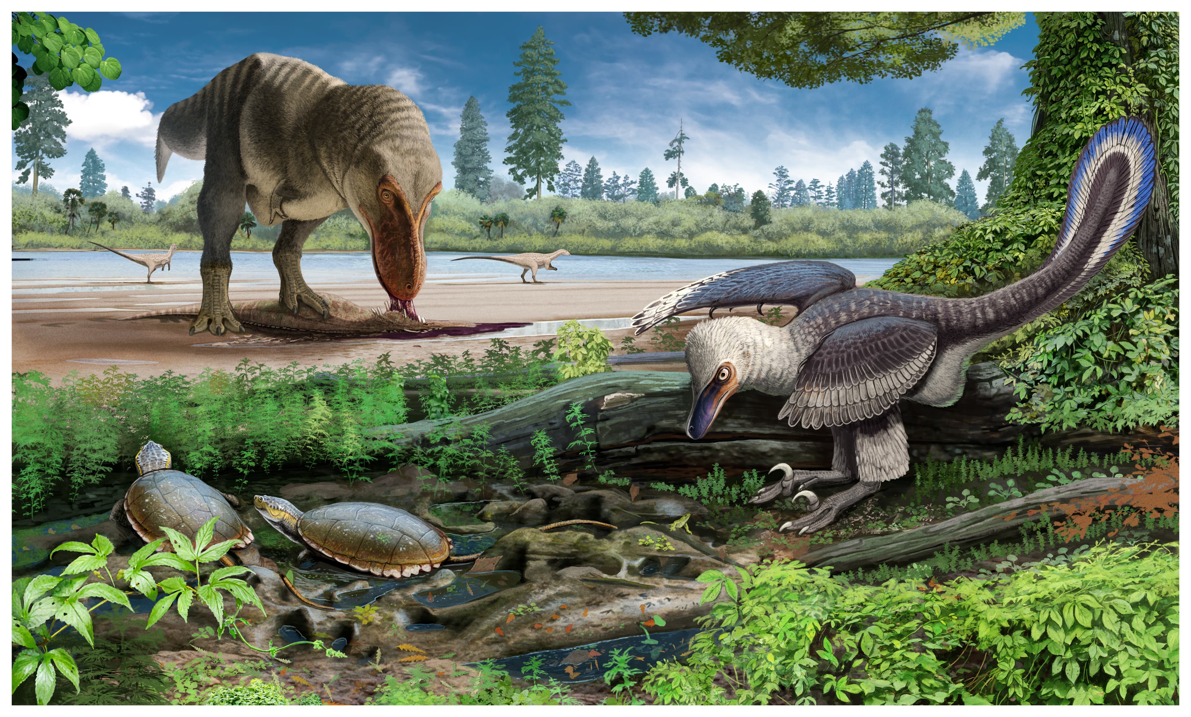 Main Media Image